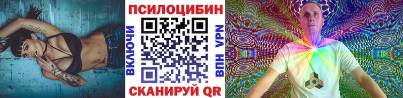 дарк нет состав ссылка на мегу как зайти Курчалой Псилоцибиновые грибы мицелий